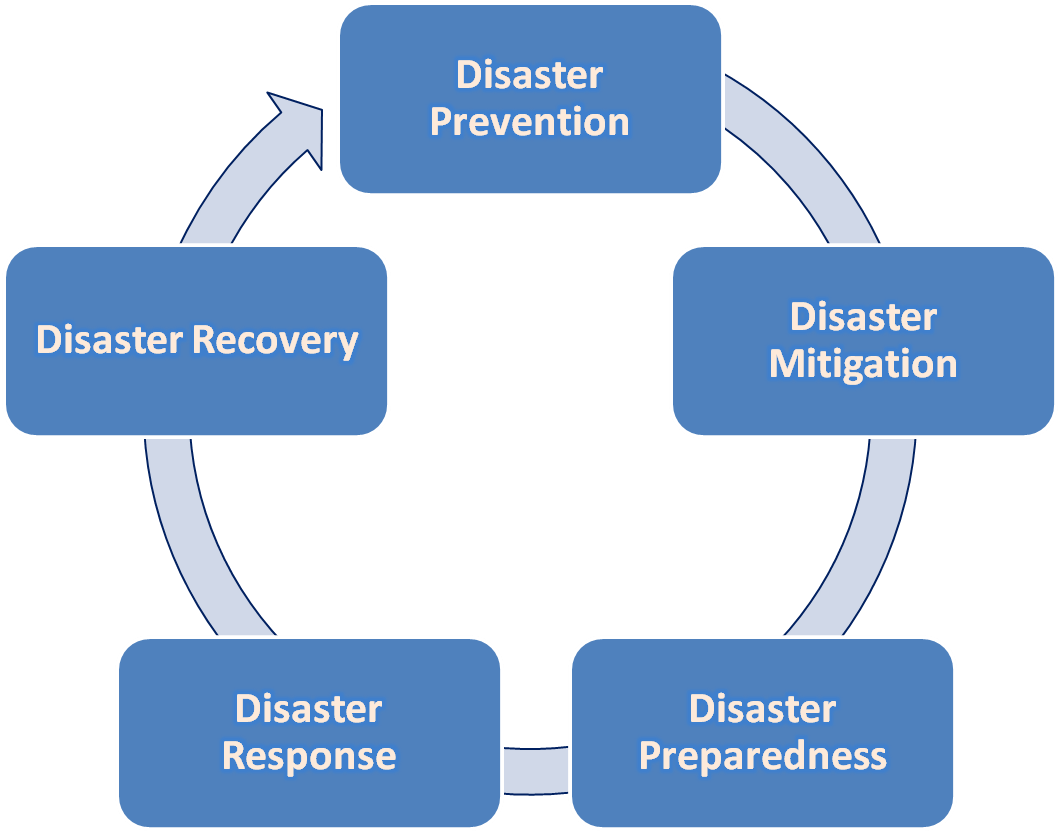 dmr cycle